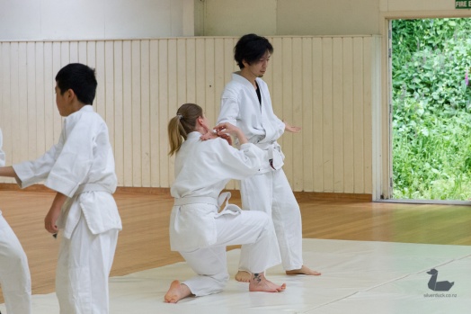 Aikido Tenshindo Wellington, November 2018 grading. Wellington, New Zealand. Copyright © 2018 Silver Duck. All Rights Reserved.