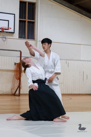Aikido Tenshindo Wellington, November 2018 grading. Wellington, New Zealand. Copyright © 2018 Silver Duck. All Rights Reserved.